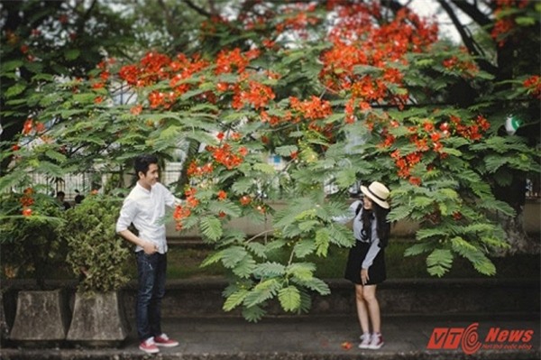 Tình yêu học trò trong sáng qua bộ ảnh Tình thơ của nữ sinh Sư phạm