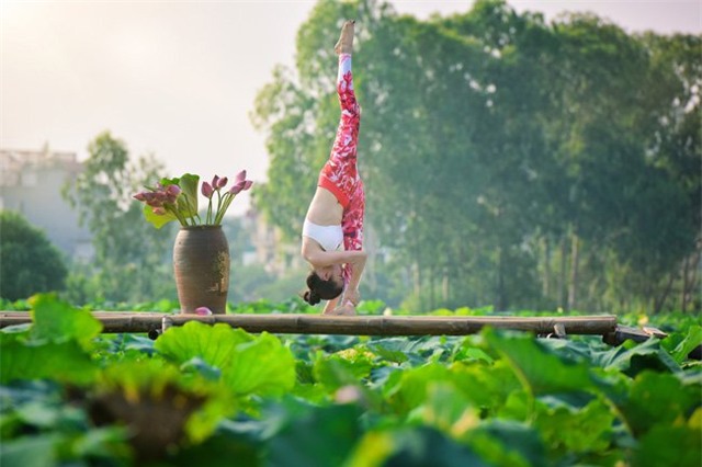 me tit bo anh yoga tuyet dep giua dam sen thom ngat hinh anh 10