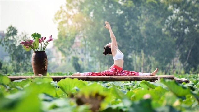 me tit bo anh yoga tuyet dep giua dam sen thom ngat hinh anh 11