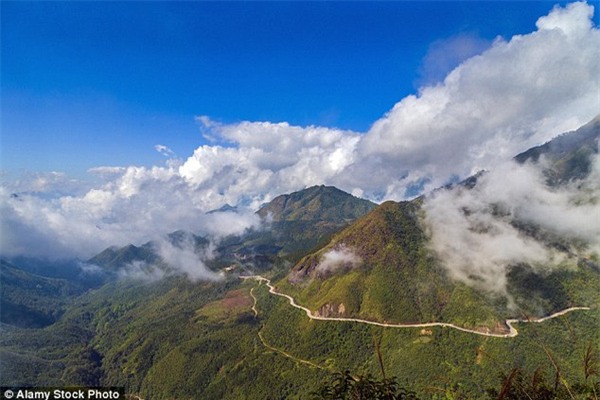 mất tích tại Việt Nam