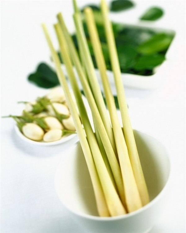 xông hơi sả