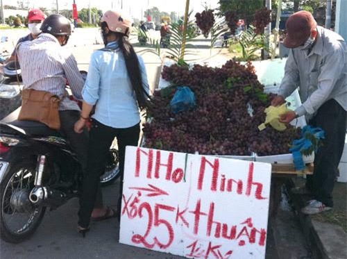 nho trung quốc, nho ninh thuận, cách phân biệt nho trung quốc với nho ninh thuận, nho trung quốc gắn mác nho ninh thuận, nho Tàu