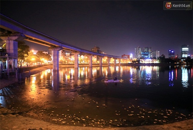 Trắng đêm xử lí tình trạng cá chết tại hồ Hoàng Cầu - Ảnh 1.