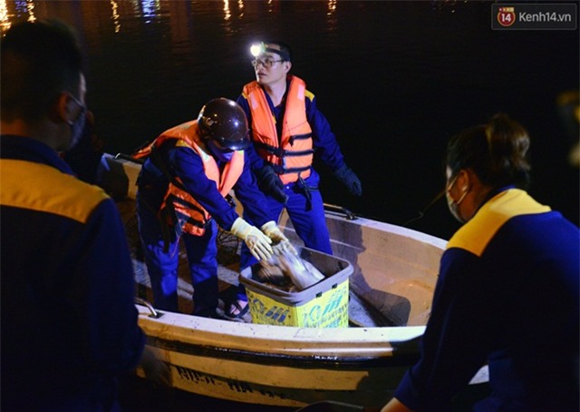 Trắng đêm xử lí tình trạng cá chết tại hồ Hoàng Cầu - Ảnh 10.