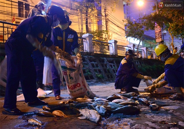 Trắng đêm xử lí tình trạng cá chết tại hồ Hoàng Cầu - Ảnh 11.