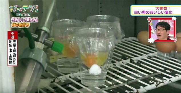 Ở Nhật Bản, trứng gà không vỏ vẫn có thể nở thành con - Ảnh 3.