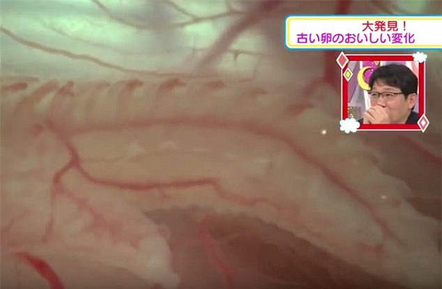 Ở Nhật Bản, trứng gà không vỏ vẫn có thể nở thành con - Ảnh 6.