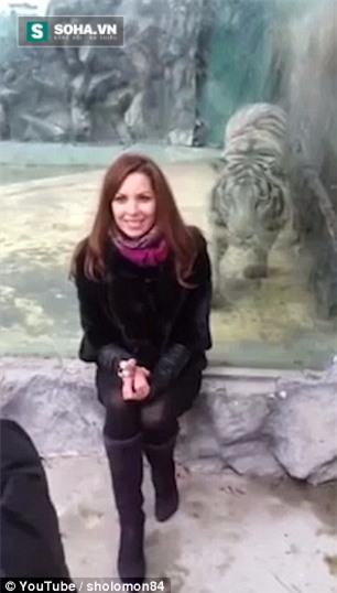 Thót tim giây phút hổ trắng lao lên vồ cô nàng mê “tự sướng” - Ảnh 2.