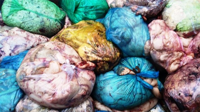 Phat hien 13 tan thit mo dong vat hoi thoi hinh anh 1