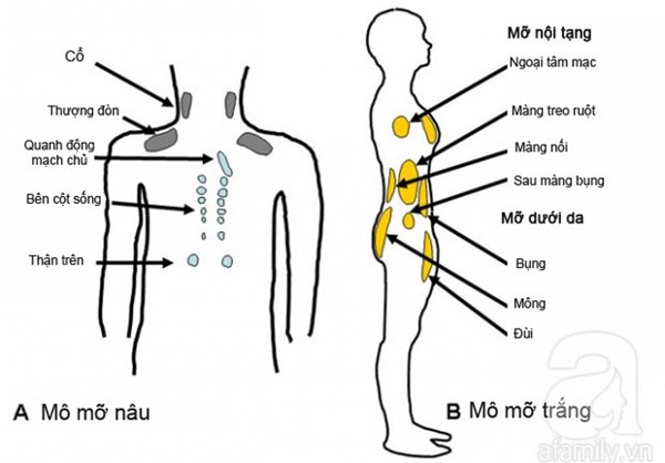 Điều gì xảy ra khi bạn ngủ trong phòng điều chỉnh nhiệt độ từ 19 đến 27 độ C? - Ảnh 1.