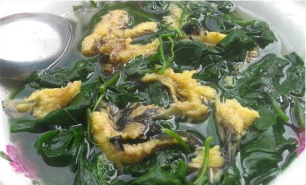 Rau mồng tơi - Món ngon, vị thuốc tốt ngày hè - Ảnh 1.