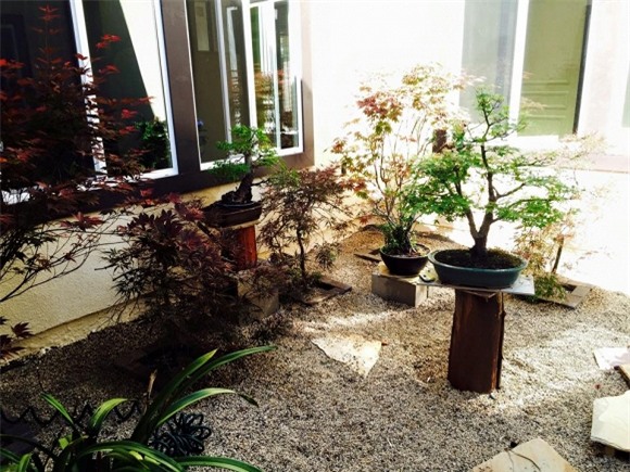 Bằng Kiều tại Mỹ 17