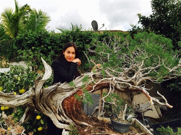 Bằng Kiều tại Mỹ 10