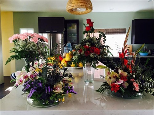 Bằng Kiều tại Mỹ 19