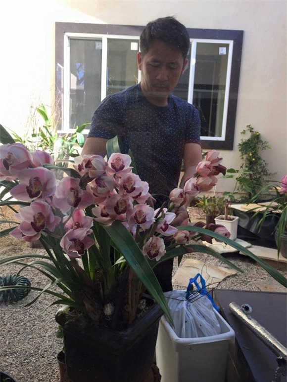 Bằng Kiều tại Mỹ 4