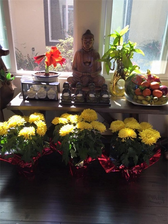 Bằng Kiều tại Mỹ 8