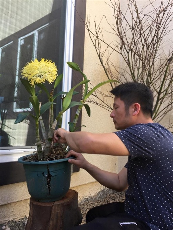 Bằng Kiều tại Mỹ 5