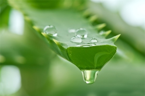 Cả hè chẳng lo đen da với công thức chống nắng này