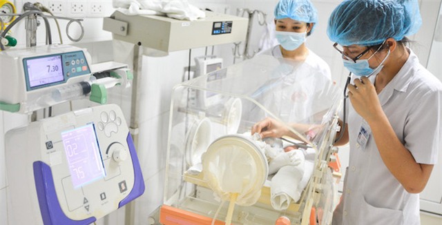 Bị chó cắn, sản phụ lên cơn dại tử vong, trẻ sinh non nguy kịch