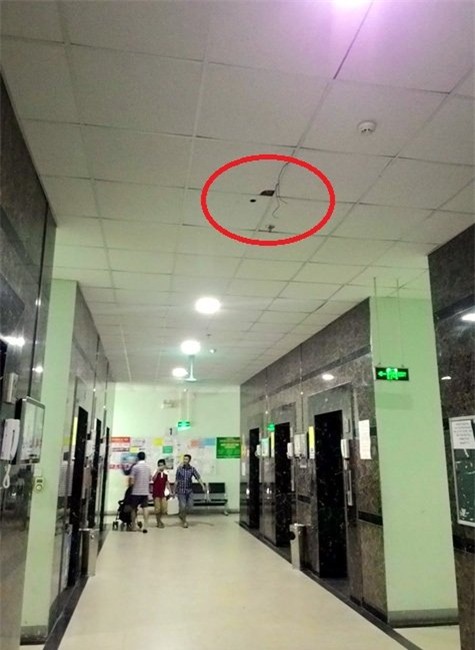 bi quat tran chung cu roi trung dau, 2 cu dan nhap vien hinh anh 2