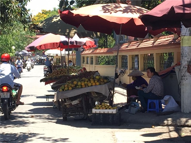 buôn hoa quả, tiểu thương bán hoa quả, nắng nóng, dân buôn hoa quả, hoa quả bán rong, nỗi niềm người bán hoa quả