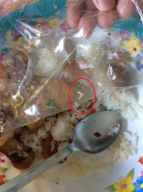 Com co gioi, sinh vien moc hong non oi hinh anh 1