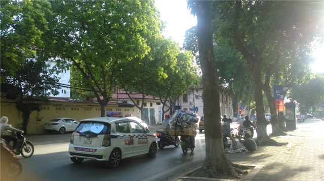 Sấu non được nhiều thợ trèo sấu bán ngay tại gốc