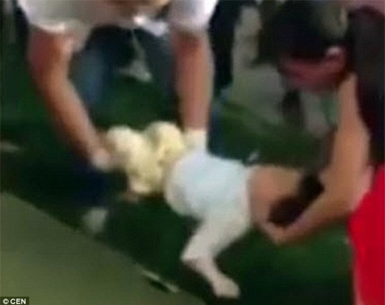 Bé trai 2 tuổi nằm bất tỉnh trên cỏ sau khi bị mẹ ném xuống đất. Ảnh: CEN