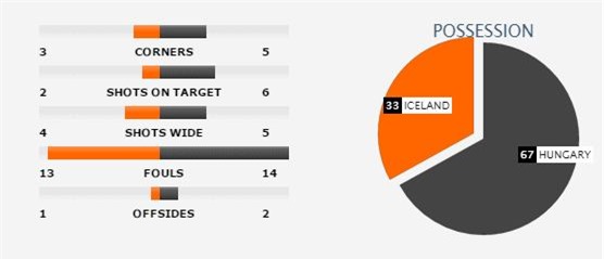 Iceland 1-1 Hungary: Trận đấu lạ lùng, bàn thắng kỳ quặc - Ảnh 3.