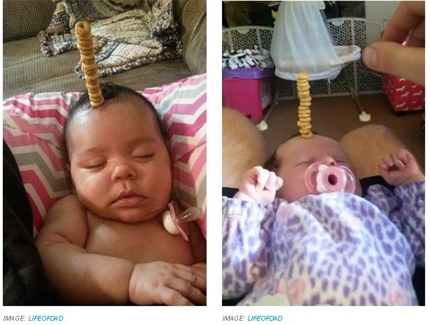 các ông bố, thách thức, xếp bánh, CheerioChallenge,