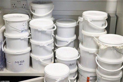 Khám phá ngân hàng não lớn nhất nước Anh - 3