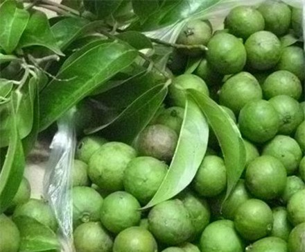 Loi ich bat ngo tu qua sau hinh anh 1