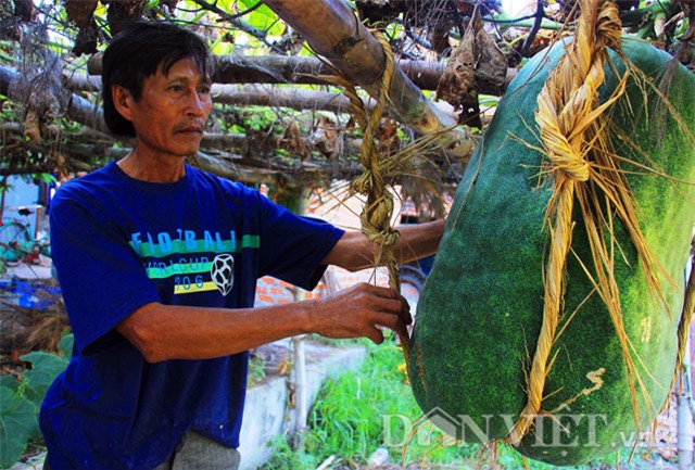 da mat xem bi dao khong lo nang nua ta... du vong hinh anh 1