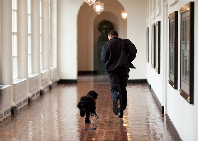 Nhiếp ảnh gia Nhà Trắng: 8 năm, hơn 2 triệu bức ảnh về Tổng thống Obama - Ảnh 5.