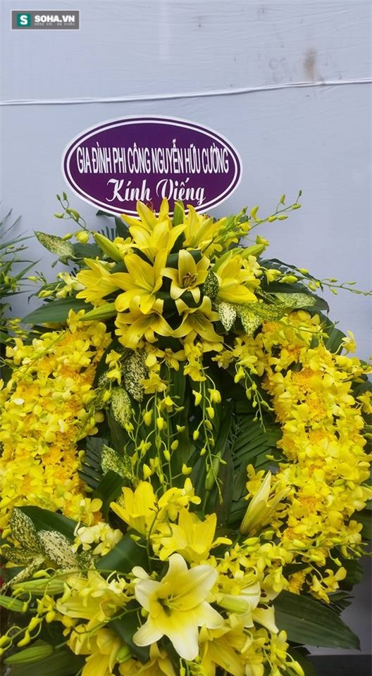 Phi công Nguyễn Hữu Cường nói lý do không đến viếng Đại tá Khải - Ảnh 1.