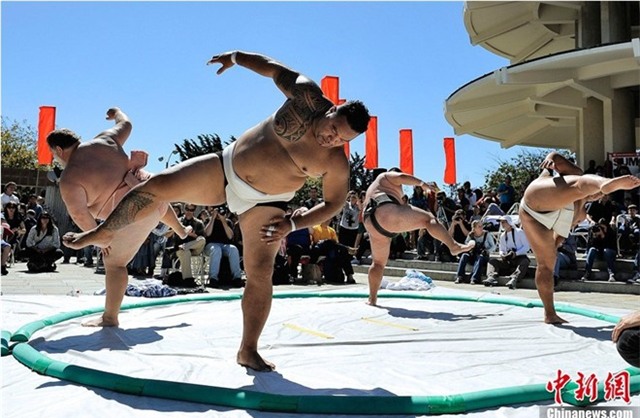 Hiện nay, dù trải qua nhiều thay đổi của cuộc sống hiện đại và du nhập của văn hóa phương Tây. Hiện nay, có rất nhiều võ sĩ sumo đến từ các nước khác như Mông Cổ, Bulgaria… nhưng sumo vẫn là nét văn hóa truyền thống, một nghi lễ tôn giáo trong nền văn hóa Nhật Bản.