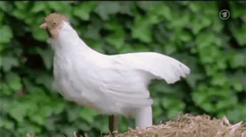 su-that-dang-sau-mon-trung-ga-dai-30cm