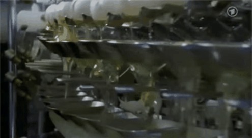 su-that-dang-sau-mon-trung-ga-dai-30cm