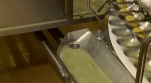 su-that-dang-sau-mon-trung-ga-dai-30cm