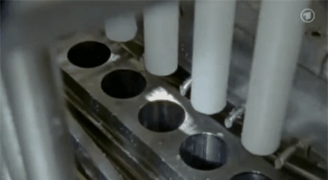 su-that-dang-sau-mon-trung-ga-dai-30cm