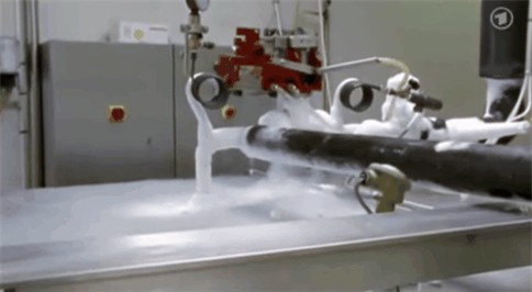 su-that-dang-sau-mon-trung-ga-dai-30cm