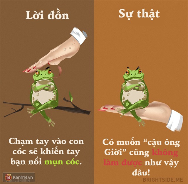 Cười rụng rốn từ lời đồn đến sự thật về các loài động vật - Ảnh 4.