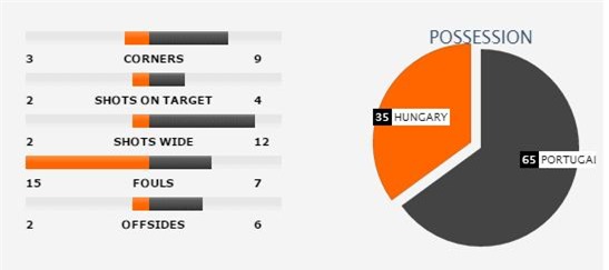 Bồ Đào Nha 3-3 Hungary: Một mình Ronaldo chấp hết - Ảnh 4.