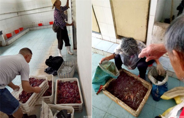 Nhặt tôm ở cống rãnh, rửa ở nhà vệ sinh công cộng để đem bán - Ảnh 3.