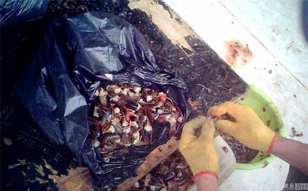 Nhặt tôm ở cống rãnh, rửa ở nhà vệ sinh công cộng để đem bán - Ảnh 7.