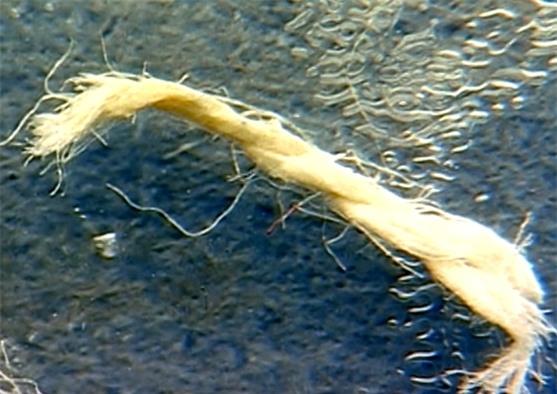 Thieu gia thue ban giet 3 nguoi than de chiem gia san hinh anh 5