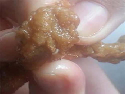 lai hoang hot voi com sinh vien co doi - 1