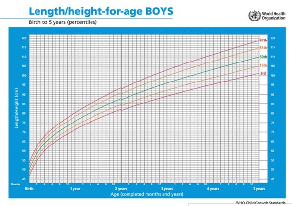 Chiều cao và cân nặng cho bé