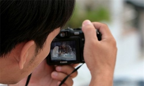 thám tử, cao thủ, ngoại tình, người tình, bà bầu, phi công trẻ, theo dõi, công ty