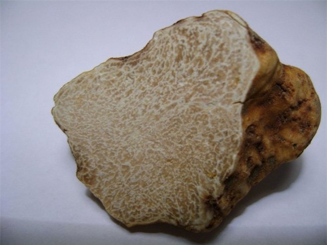 Top 10, đắt nhất thế giới, xếp hạng, vàng ròng, vàng nhẫn, nấm trắng, kem dưỡng da, kim loại